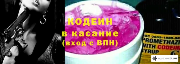 ГАЛЛЮЦИНОГЕННЫЕ ГРИБЫ Арсеньев