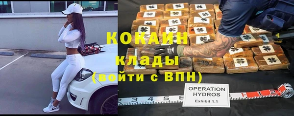 ГАЛЛЮЦИНОГЕННЫЕ ГРИБЫ Арсеньев