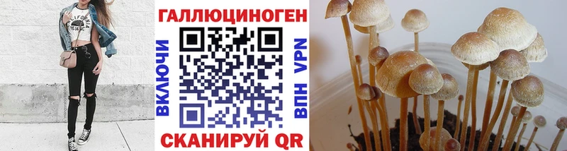 МЕГА ссылки Грайворон Псилоцибиновые грибы прущие грибы
